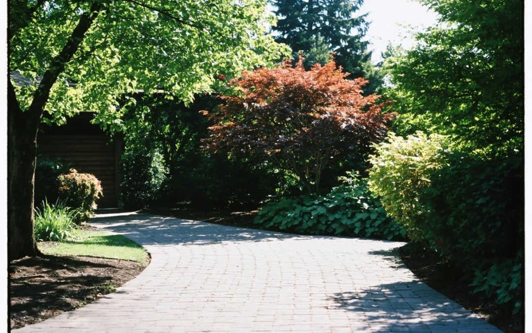Guide to Paver Cleaning and Sealing: Enhancing Curb Appeal of Your Vacation Rental